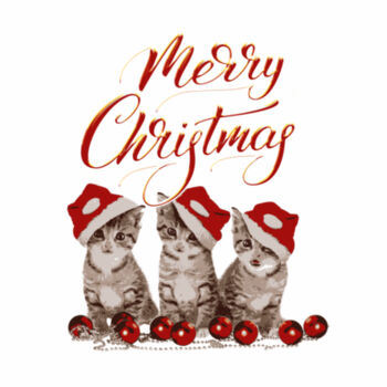 Merry Christmas Kittens Design