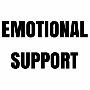 Customisable Bucks Night Emotional Support Tee Design