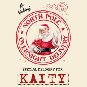 Special Delivery Santa Sack 2 Design
