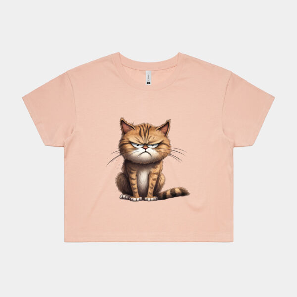 Ladies Grumpy Cat Crop Tee Thumbnail