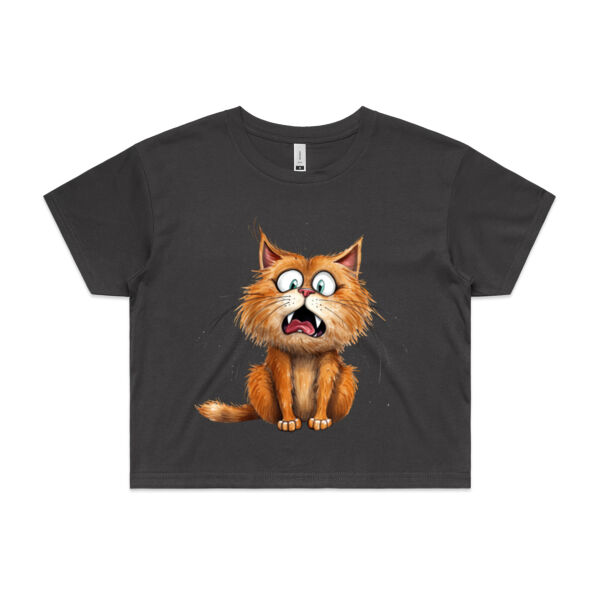 Ladies Ginger Cat Crop Tee Thumbnail