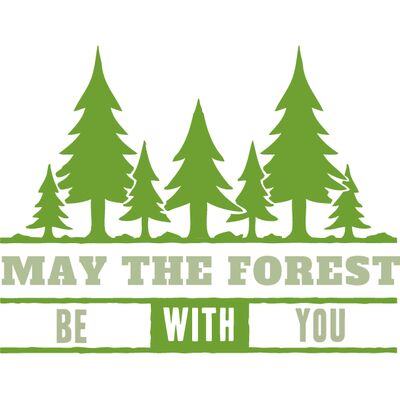 May The Forest Thumbnail