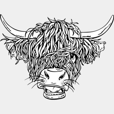 Highland Longhorn Cow Thumbnail