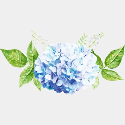 Flower wreath 1 Thumbnail