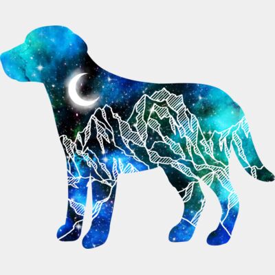 Labrador Galaxy Thumbnail