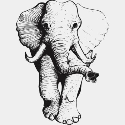 Elephant  Thumbnail