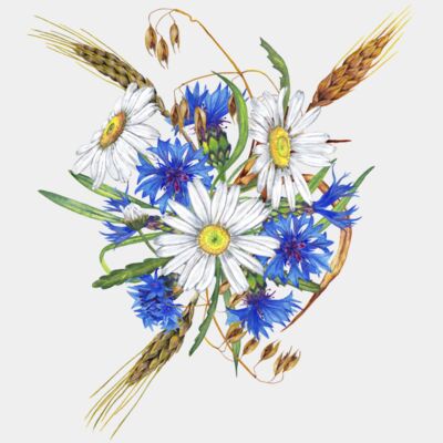 Wildflowers  Thumbnail