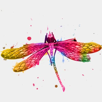Colourful dragonfly Thumbnail