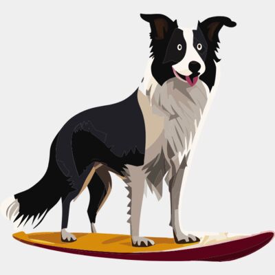 Border Collie dog surfing Thumbnail