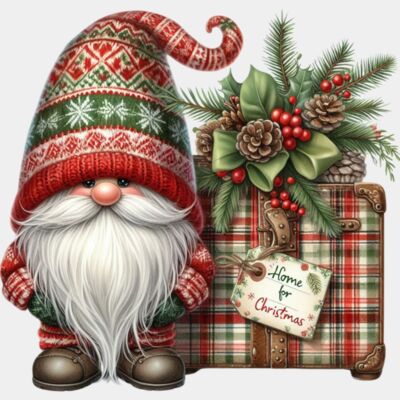 Cute Christmas Gnome  Thumbnail